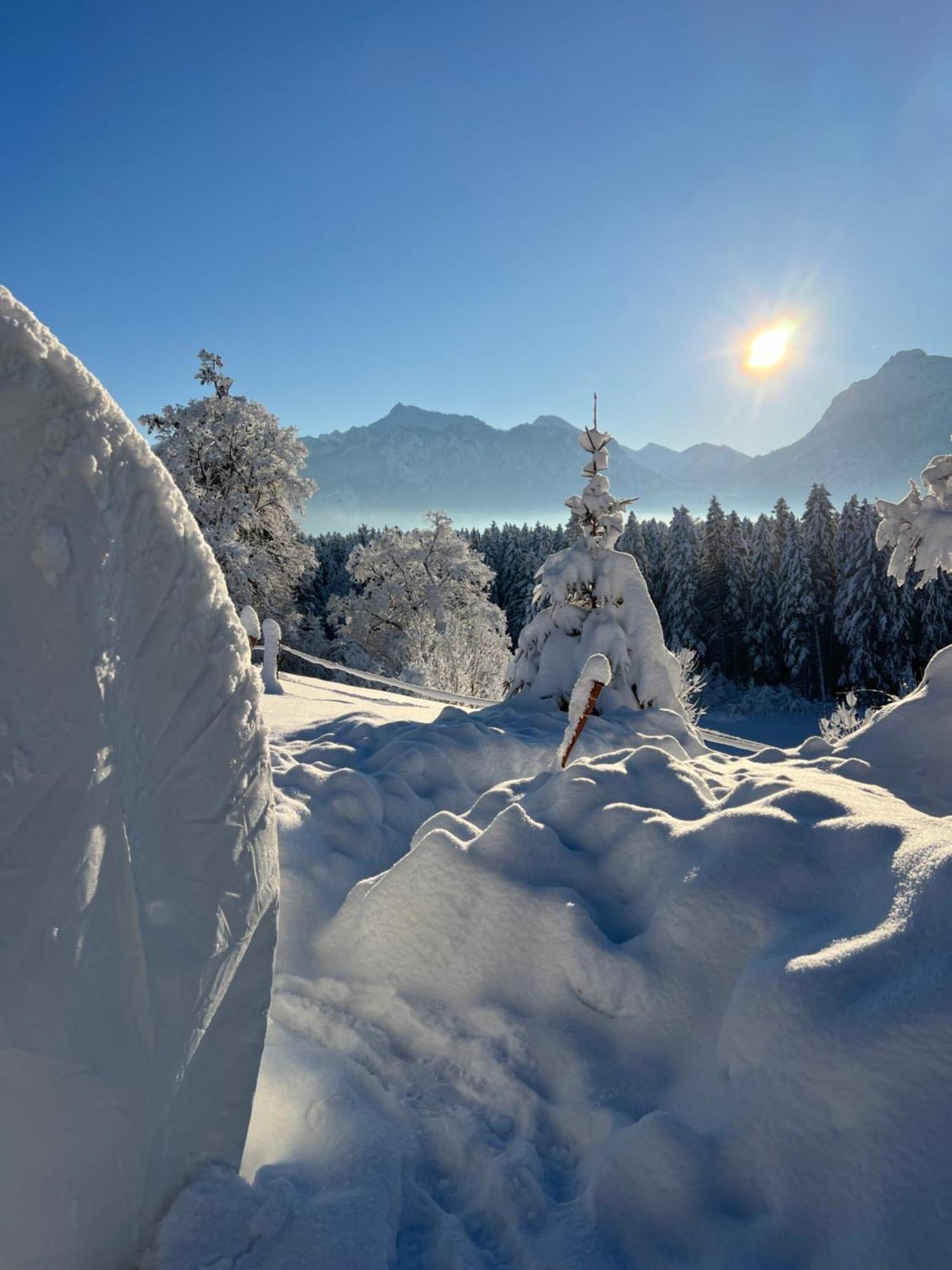 Bubble Tent Fuessen Im Allgaeu Zewnętrze zdjęcie
